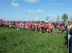 九游体验-青少年选拔机制改革更加公开透明吸引更多优秀苗子参与，青少年选拔赛比赛结果